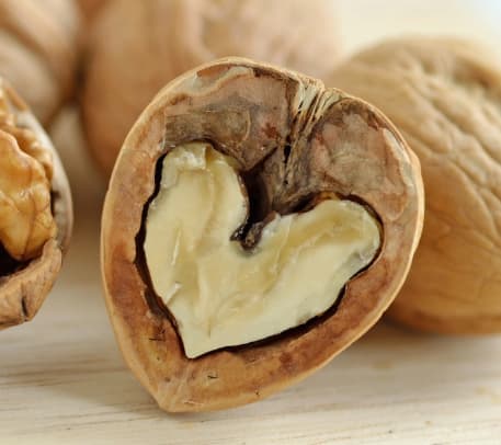 Bli vår företagsvän